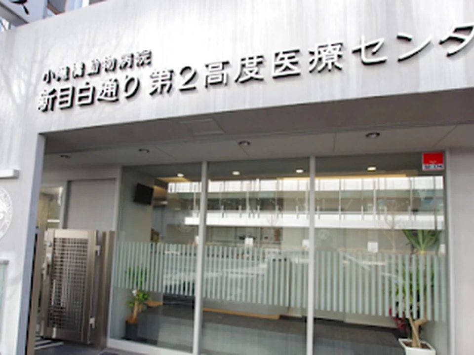 小滝橋動物病院 新目白通り第2高度医療センター