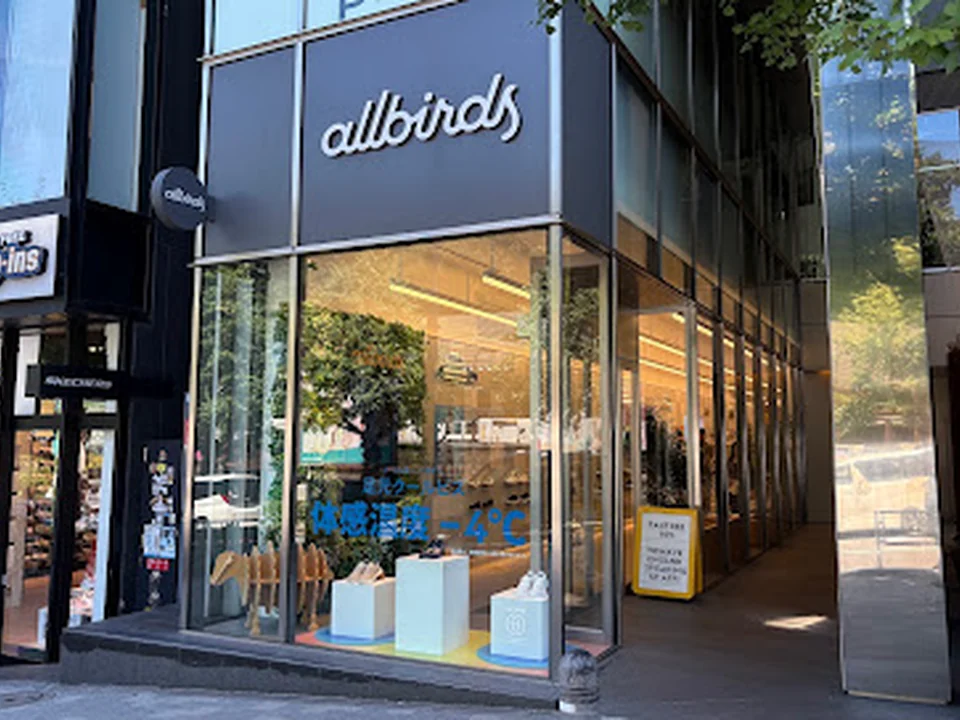 Allbirds (オールバーズ) 原宿