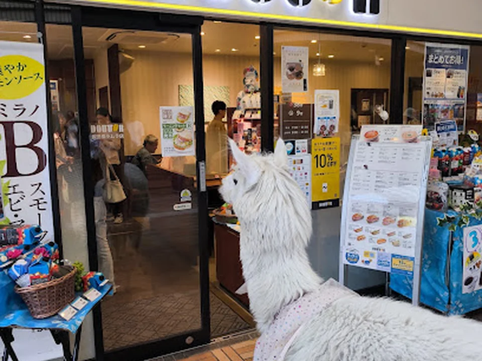アルパカふれあいランド(Alpaca fureai land)