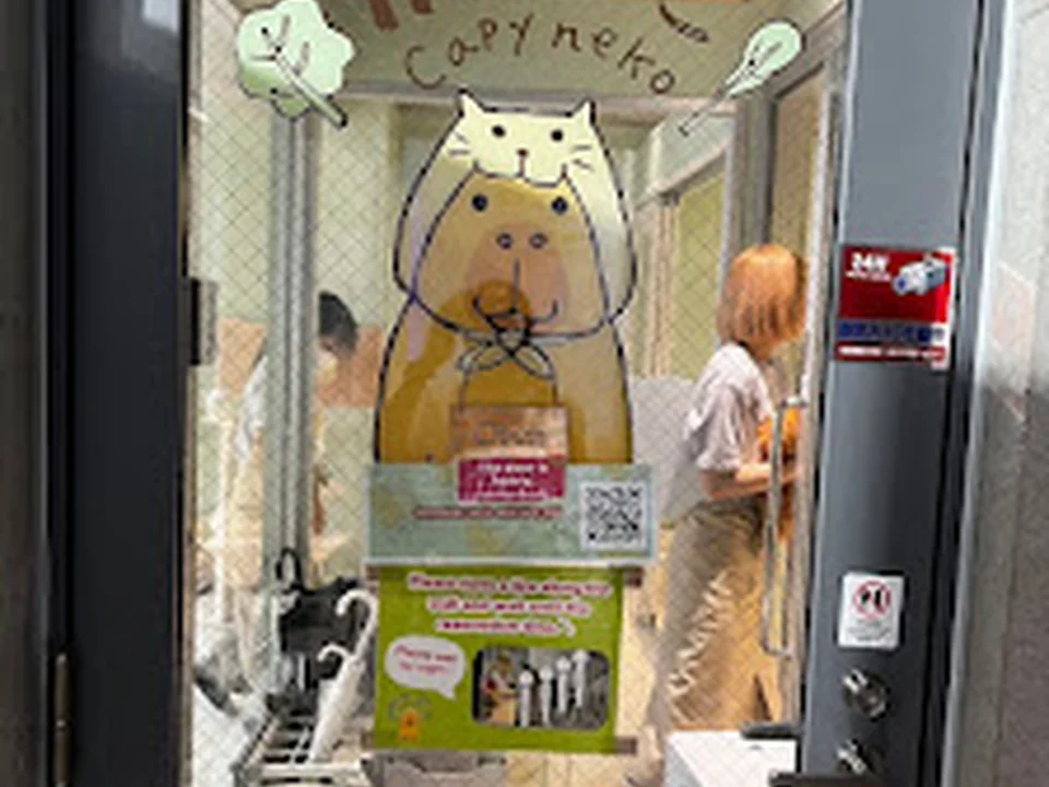 Capybara & Cat - capyneko - HARAJUKU TOKYO カピねこ原宿