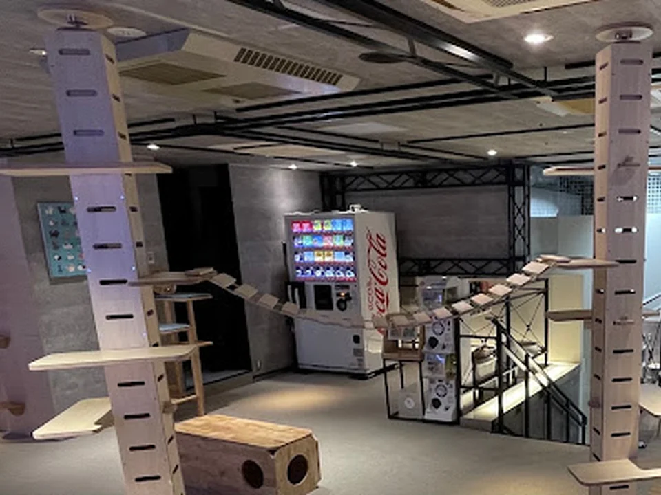 Cat Café MOFF ヨドバシAkiba店