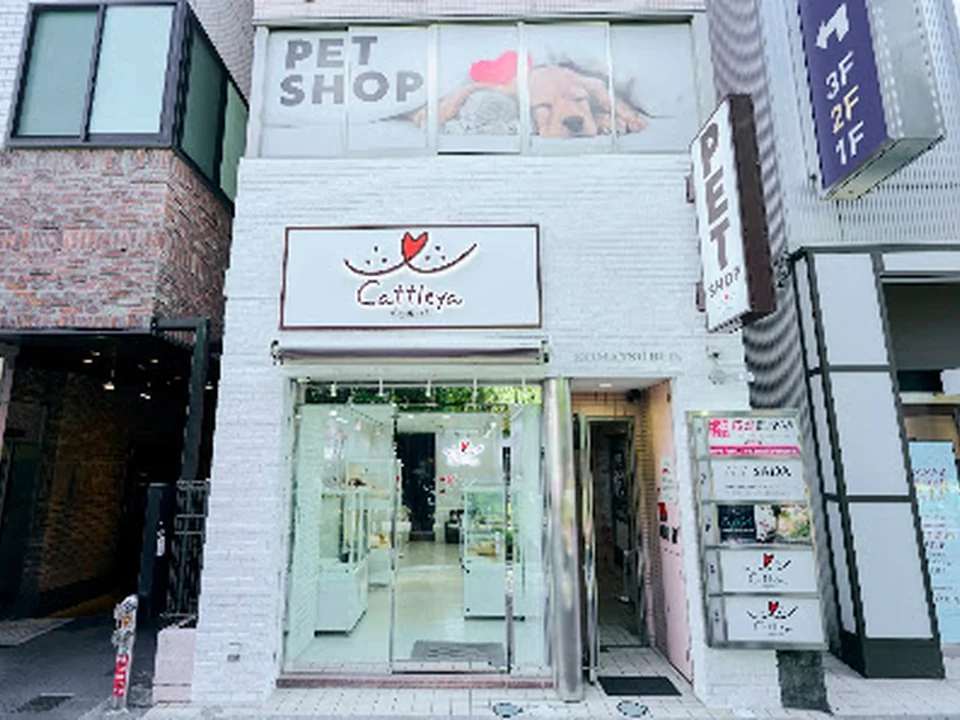 Foto de Cattleya 池袋店（ペットショップ）