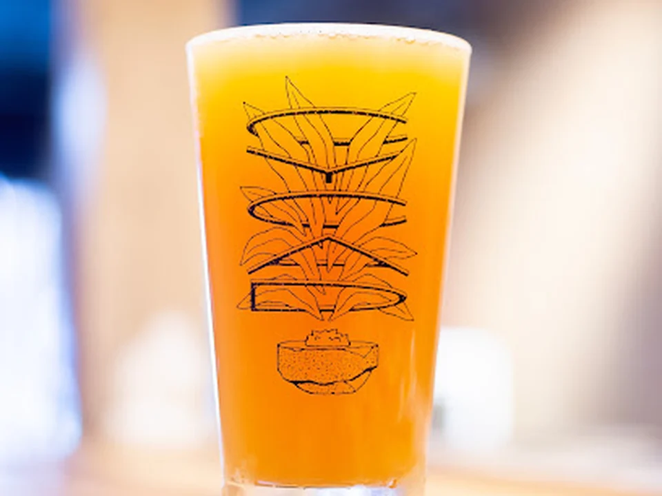 Cycad Brewing