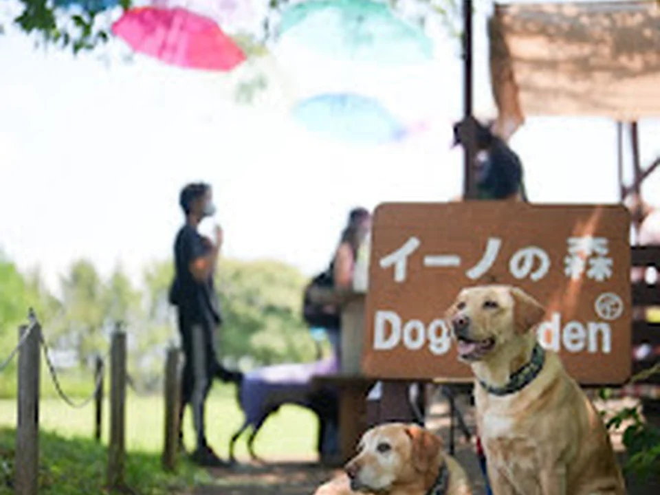 イーノの森 Dog Garden