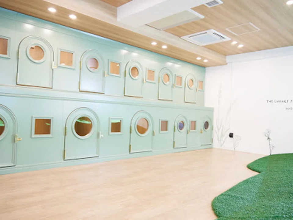 DOG ONE PLUS 代官山店