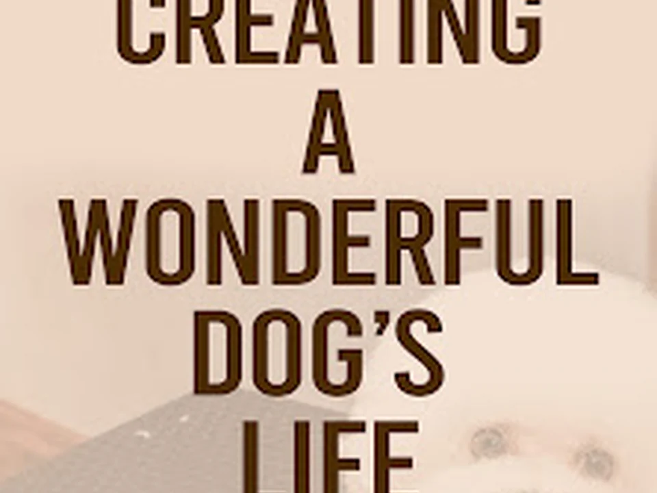 愛犬の為の楽園 Dog Resort WANLIFE （ワンライフ高田馬場）