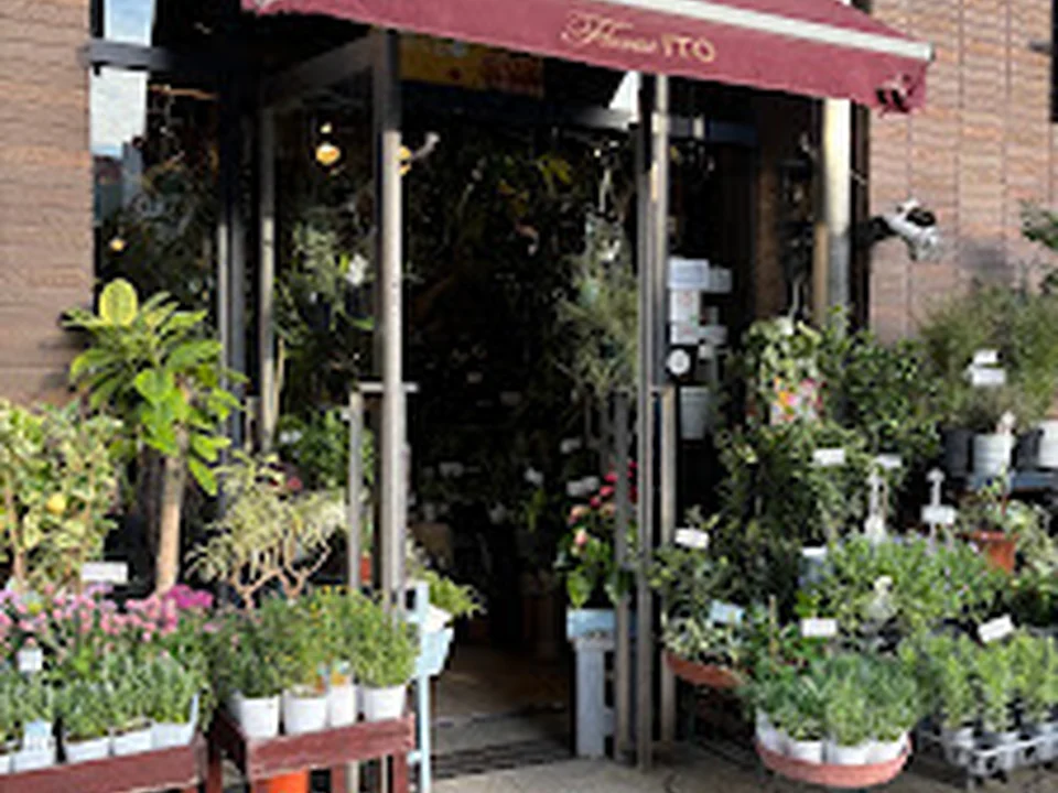 Ｆｌｏｒｉｓｔ ＩＴＯ
