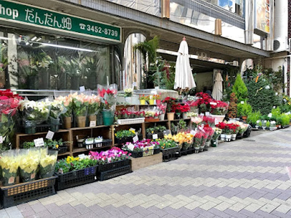 flower shop だんだん畑 花屋 麻布十番・港区 │胡蝶蘭・花束・アレンジメント・スタンドフラワー・ギフト・プレゼント
