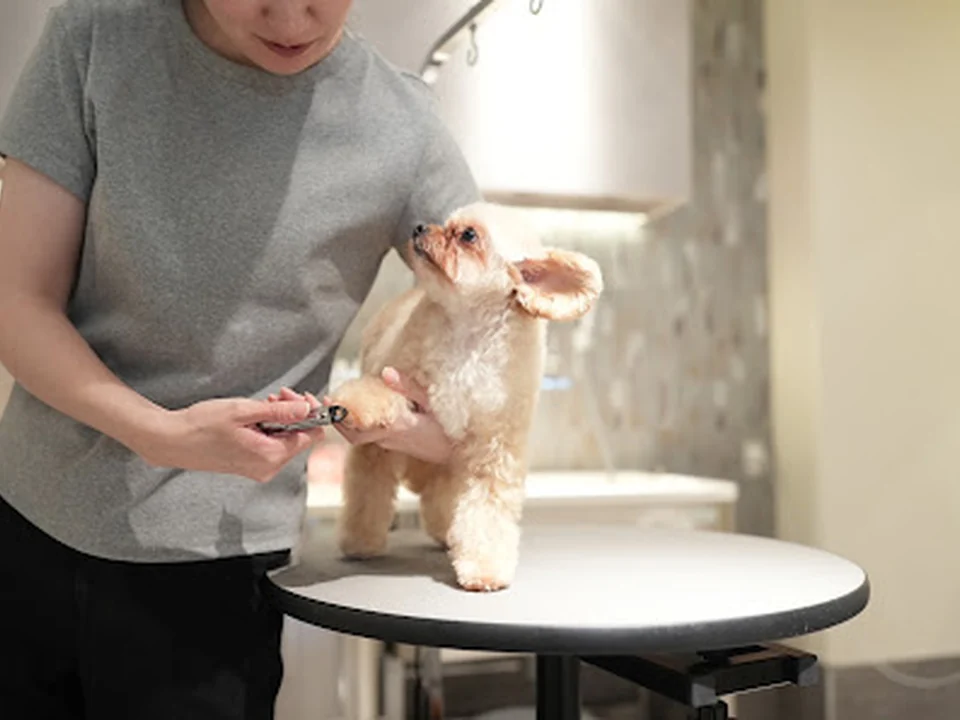 Furden Pet Salon（ファーデン ペットサロン）