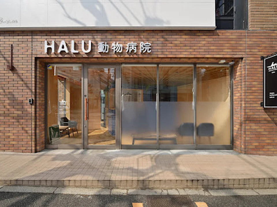 HALU代官山動物病院