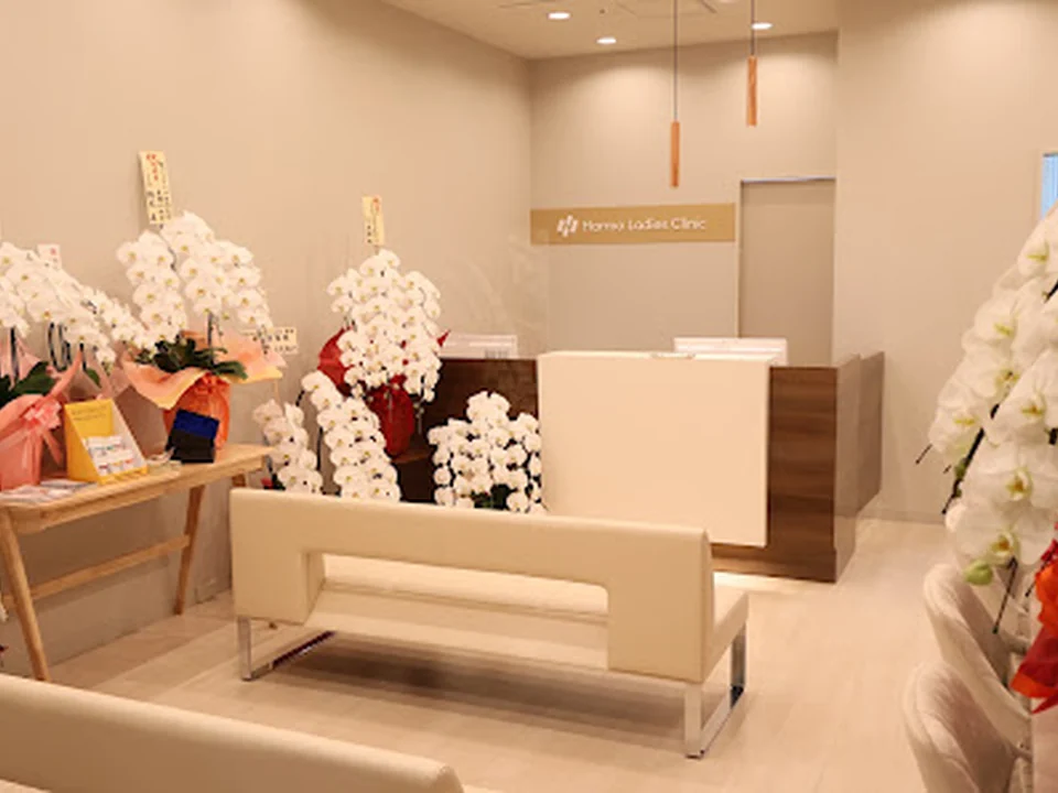 ハーモレディースクリニック新宿 (Harmo Ladies Clinic)