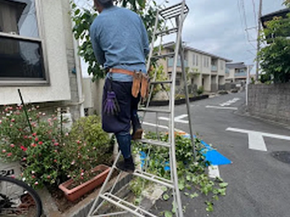 植木屋のHOME MADE TSK