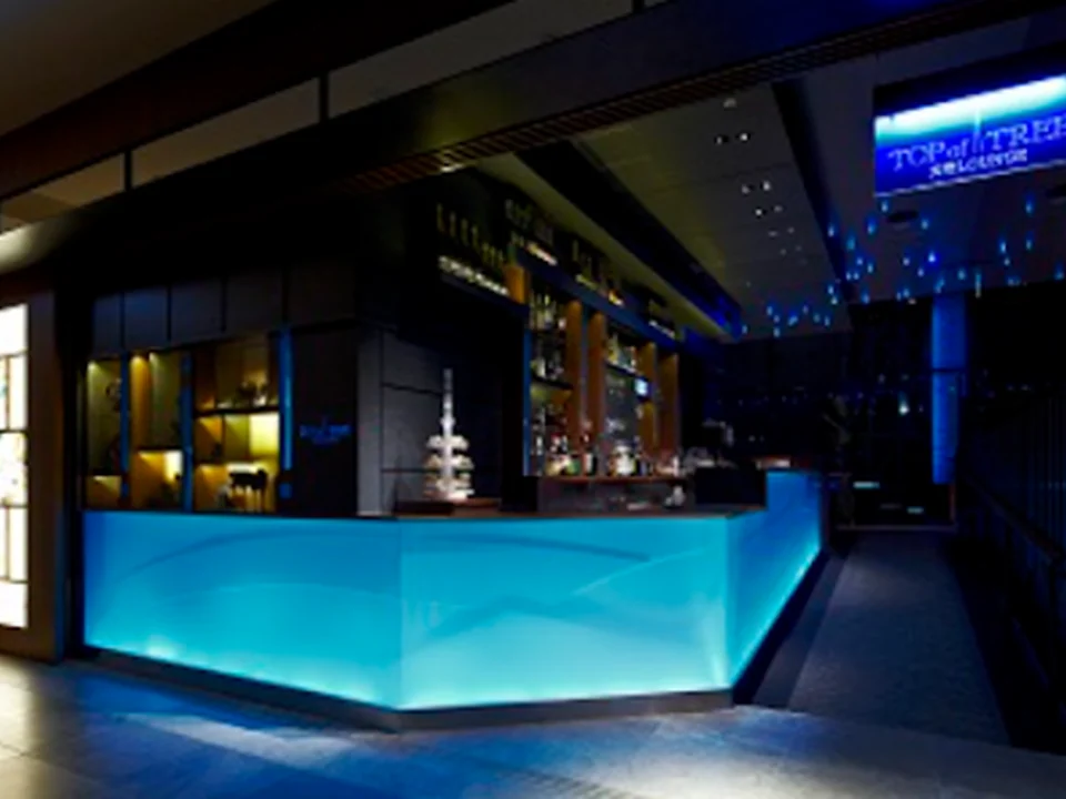天空LOUNGE TOP of TREE
