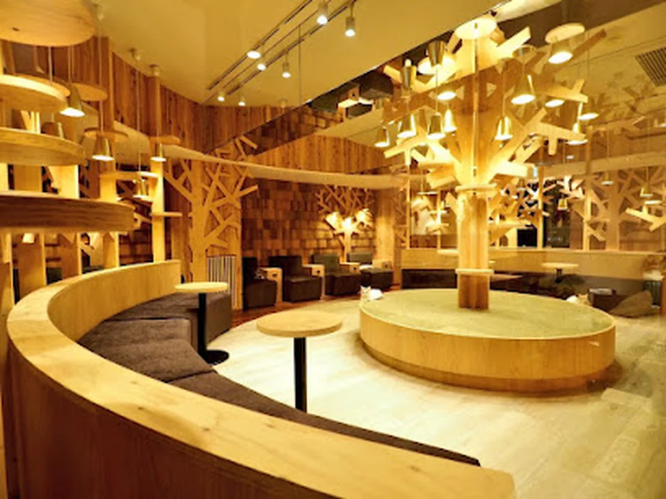猫カフェMOCHA（モカ）池袋本店