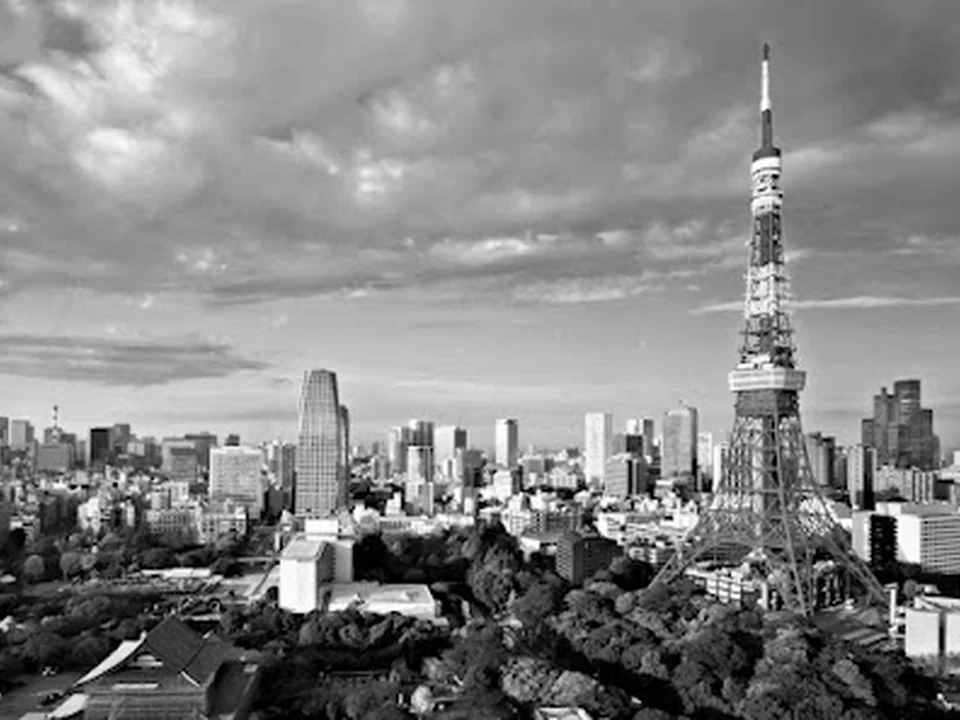 Morgan McKinley - Japan