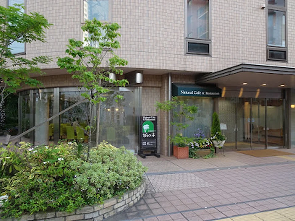 Natural Cafe & Restaurant 椨の木（たぶのき）