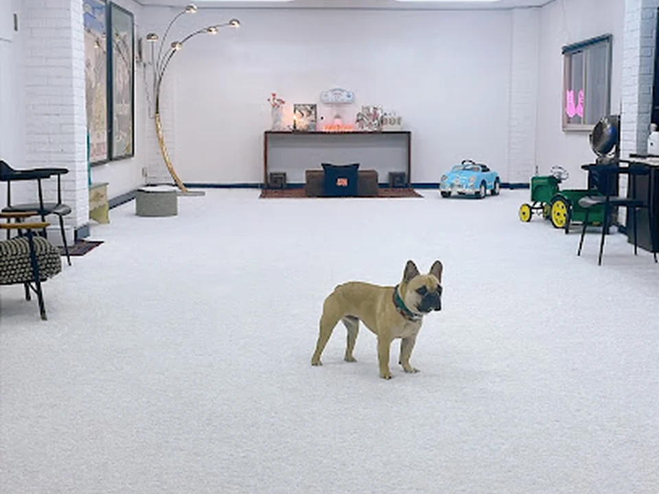 PAWHAUS / パウハウス インドアドッグラン