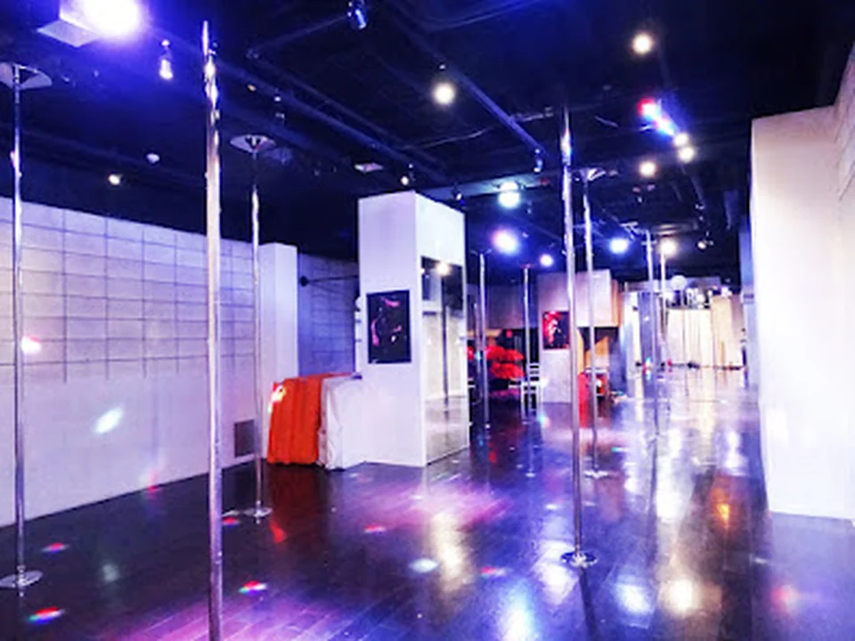 Pole Dance Tokyo ポールダンス東京