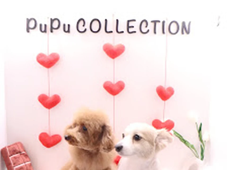 PuPu COLLECTION