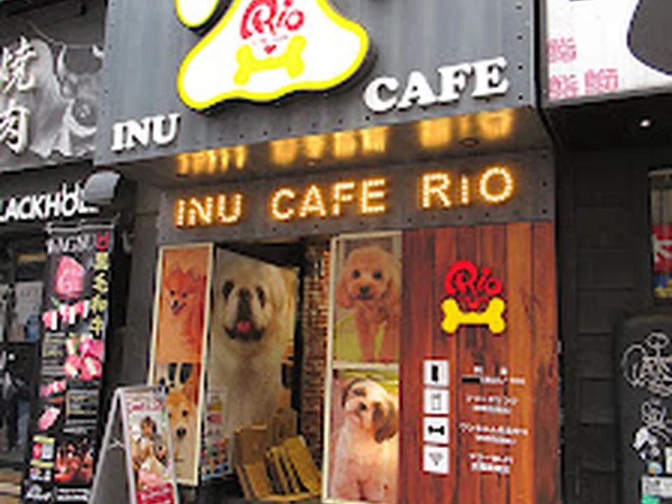 いぬカフェRio 新宿店