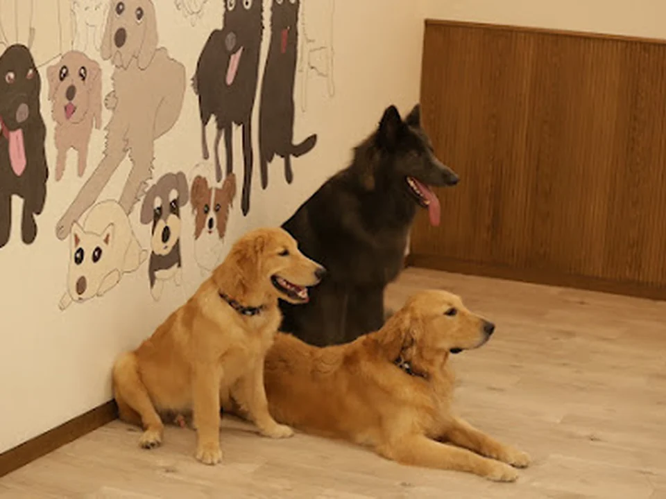 School of DOG 目黒店