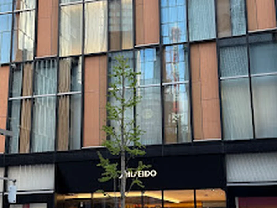 SHISEIDO THE STORE