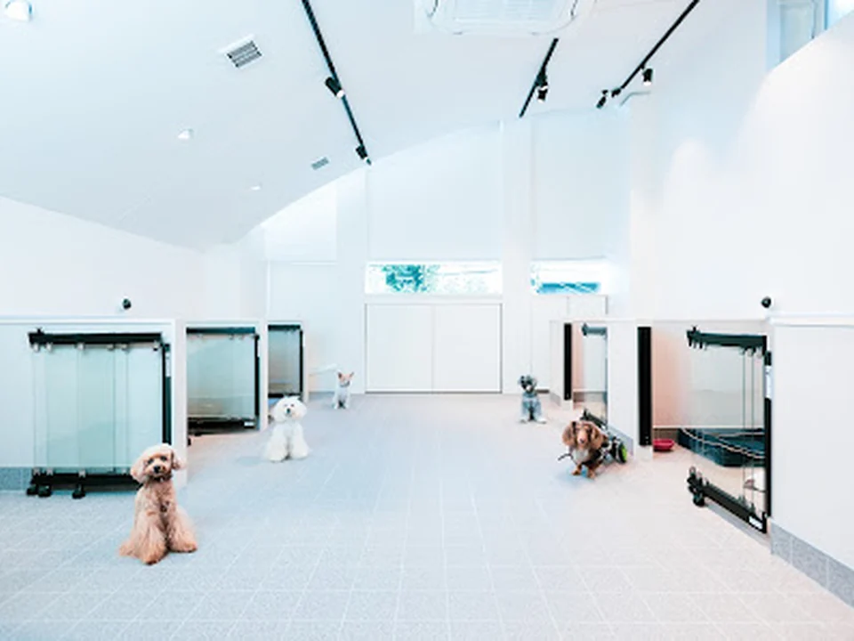 ぺットホテル 老犬ホーム｜THEケネルズ東京