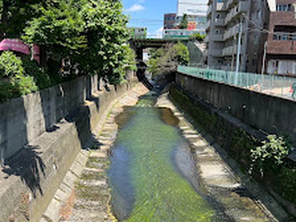 TMPS医学館