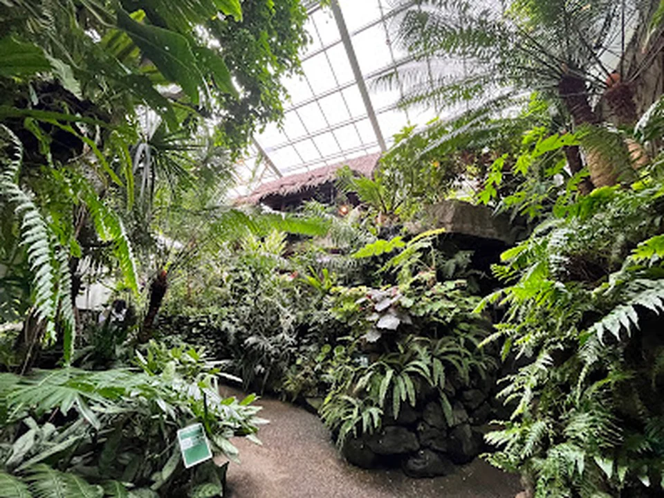 板橋区立熱帯環境植物館