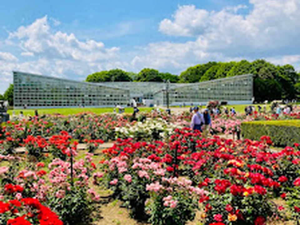 神代植物公園 ばら園