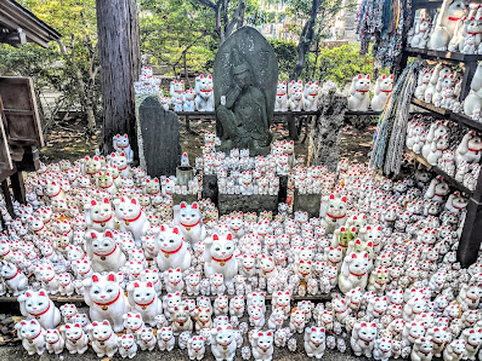 大谿山 豪徳寺