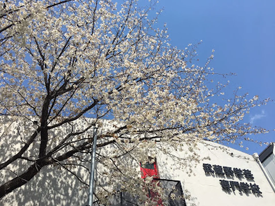 武蔵野学芸専門学校