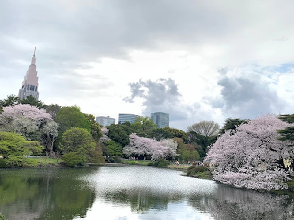 Foto de 新宿御苑