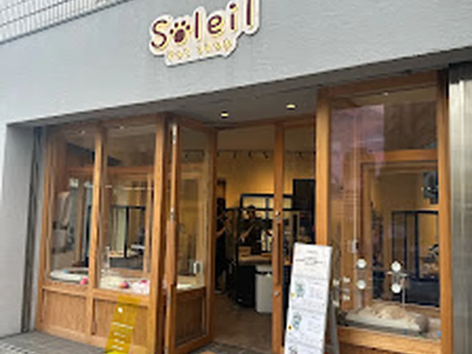 ペットショップ ソレイユ 恵比寿店