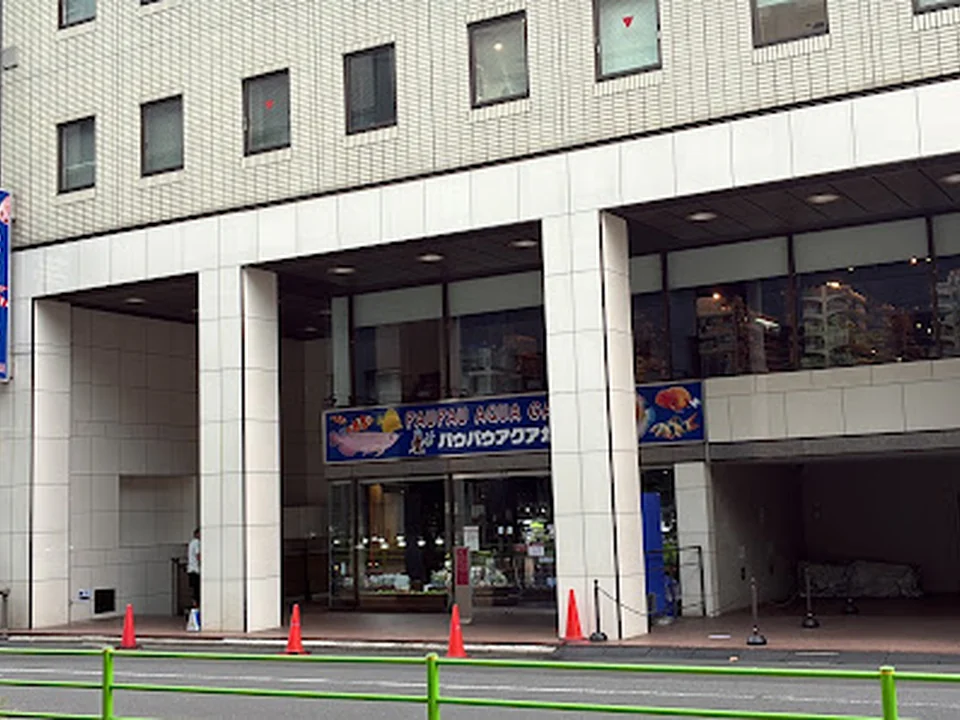 パウパウアクアガーデン 銀座店
