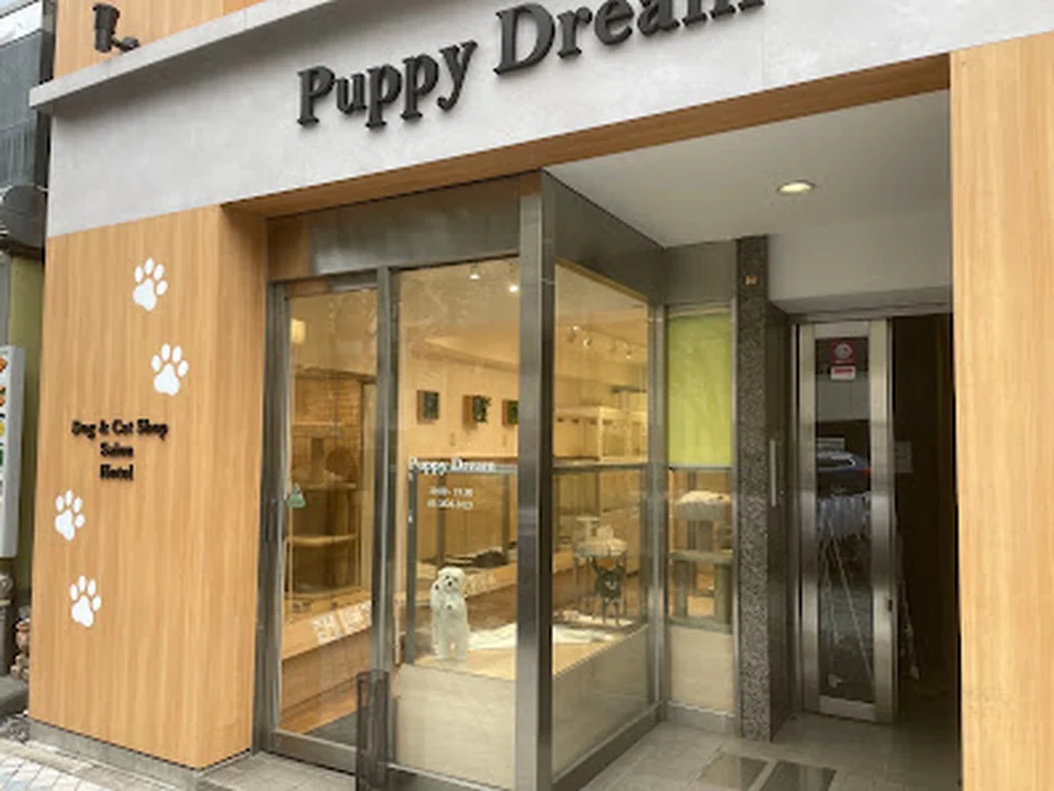 パピードリーム