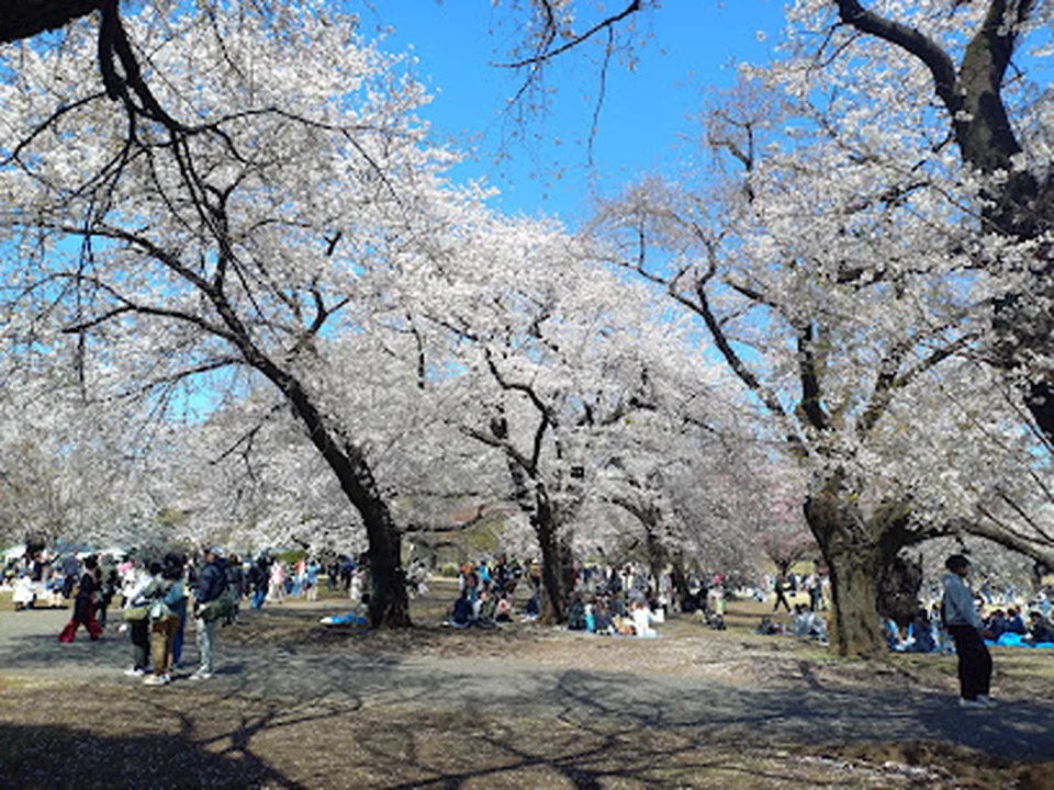 Foto de こども広場