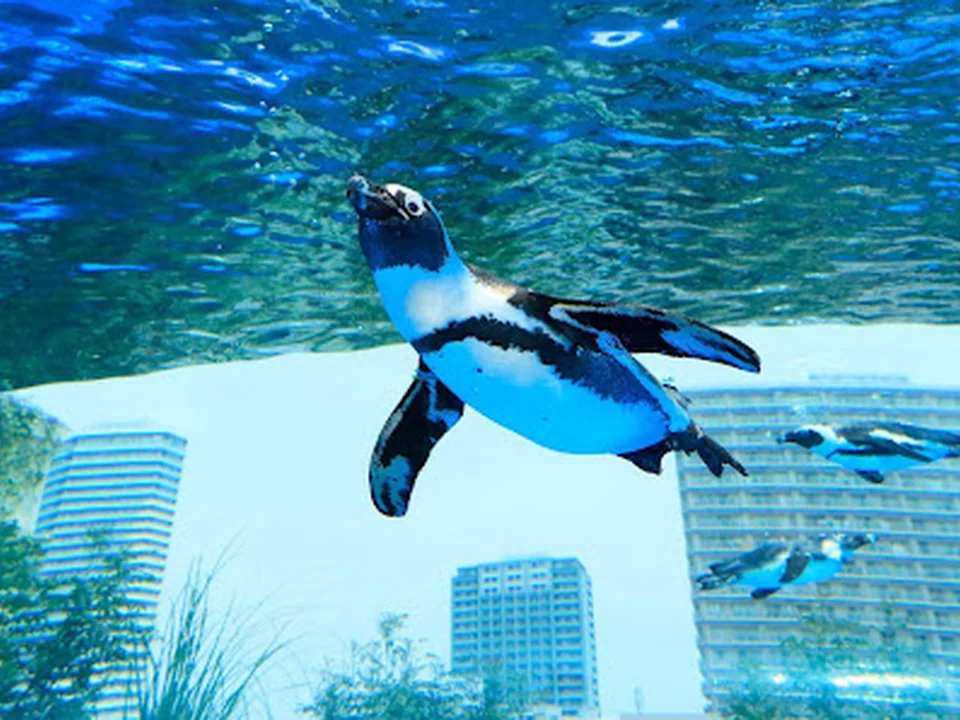 サンシャイン水族館