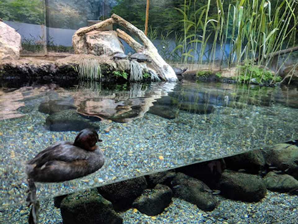 井の頭自然文化園 水生物館