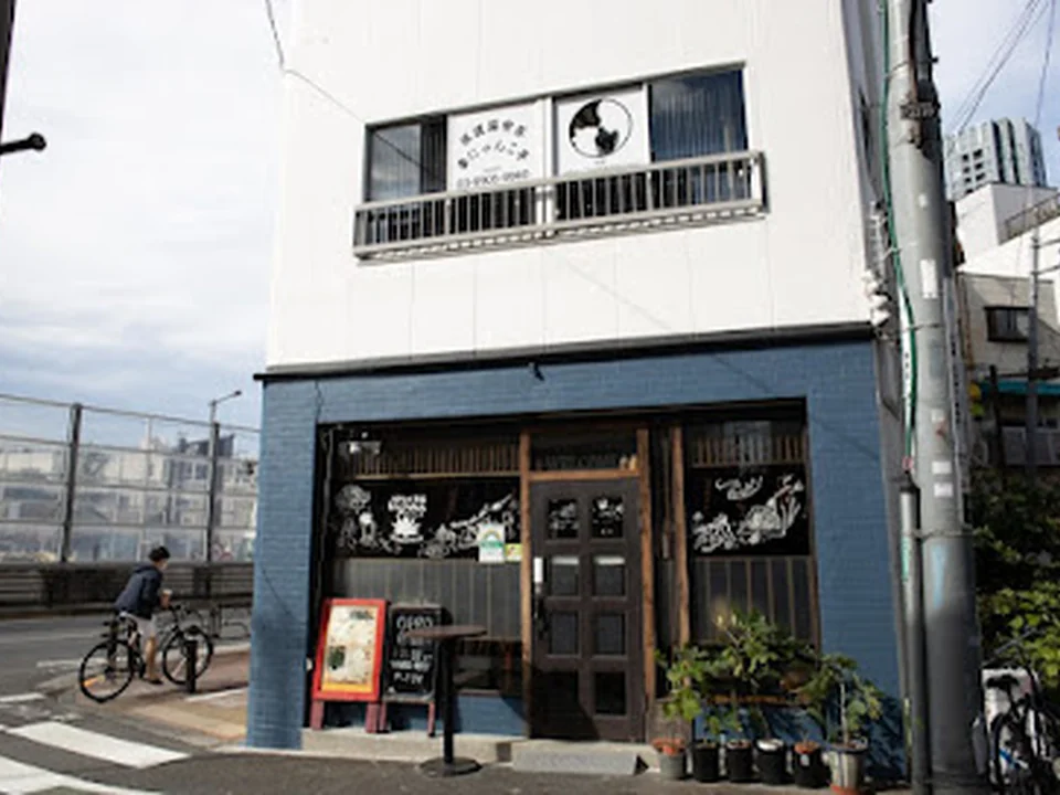 保護猫喫茶 要にゃんこ亭