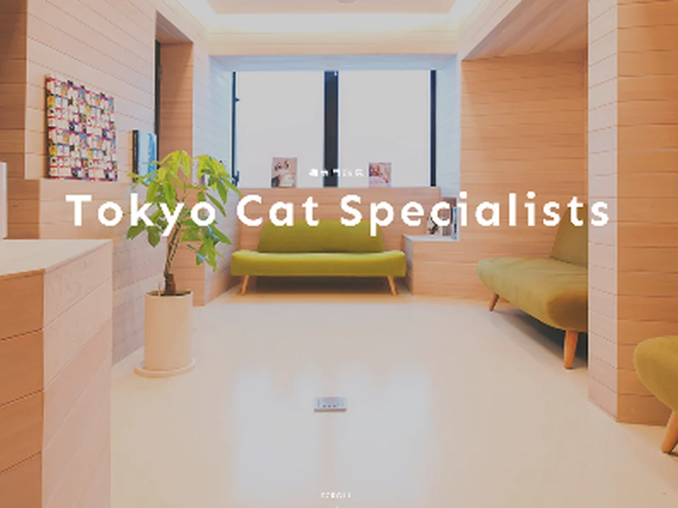 Tokyo Cat Specialists