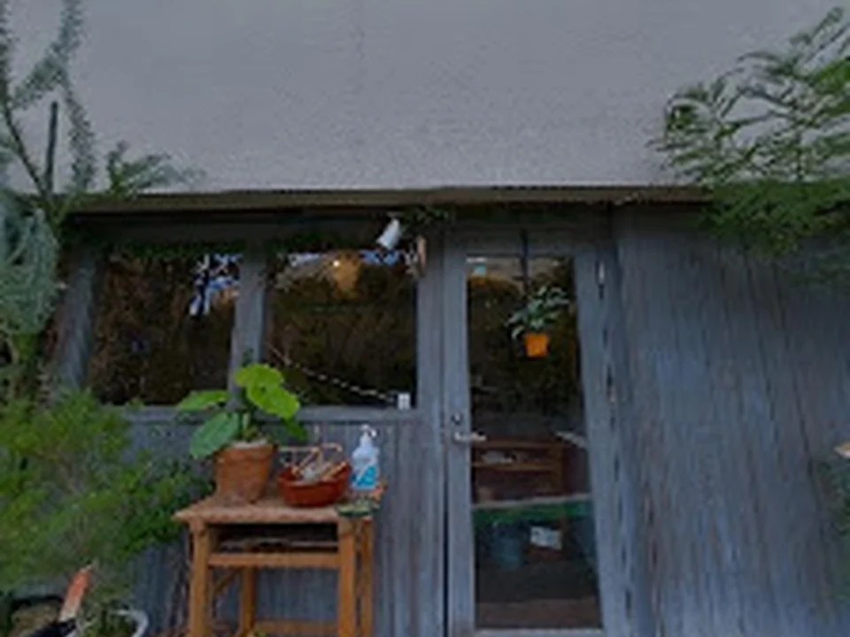 yakko flower plants