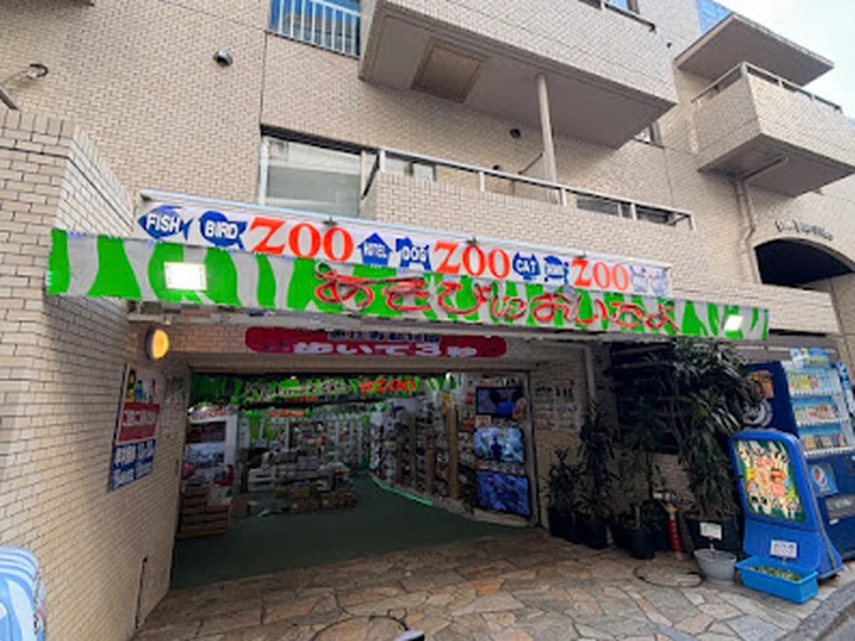 ZOO恵比寿