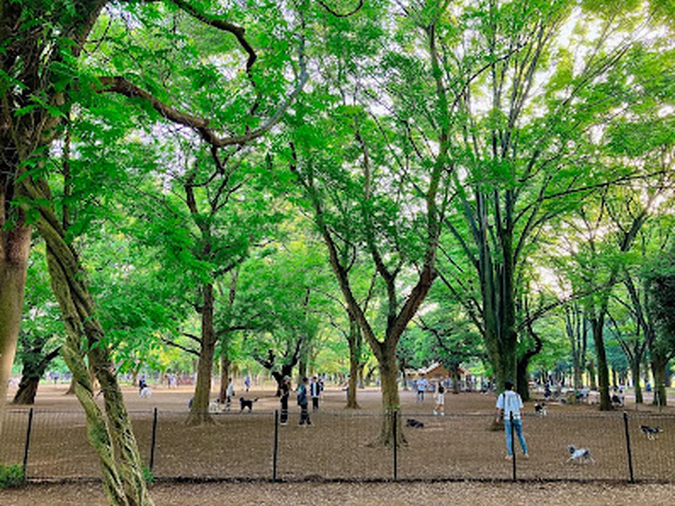 代々木公園 ドッグラン, 東京