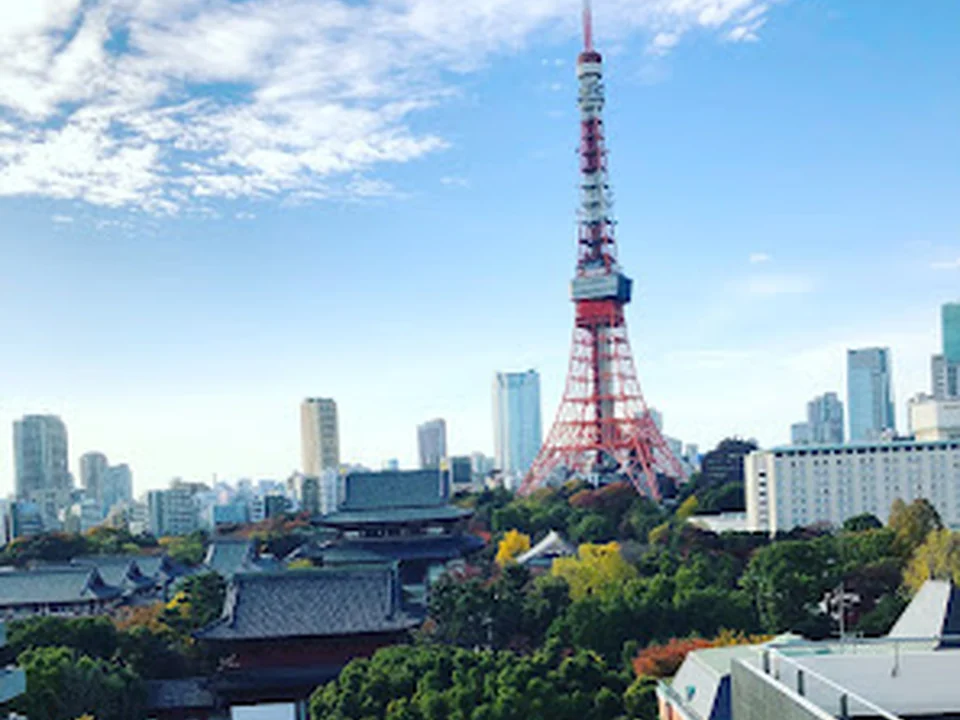 アイビーエス・ソフトウェア・ジャパン株式会社, 東京